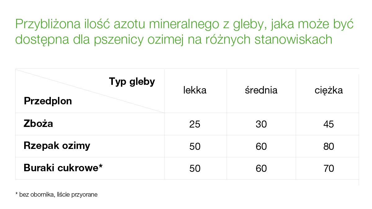 pobieranie azotu przez pszenicę