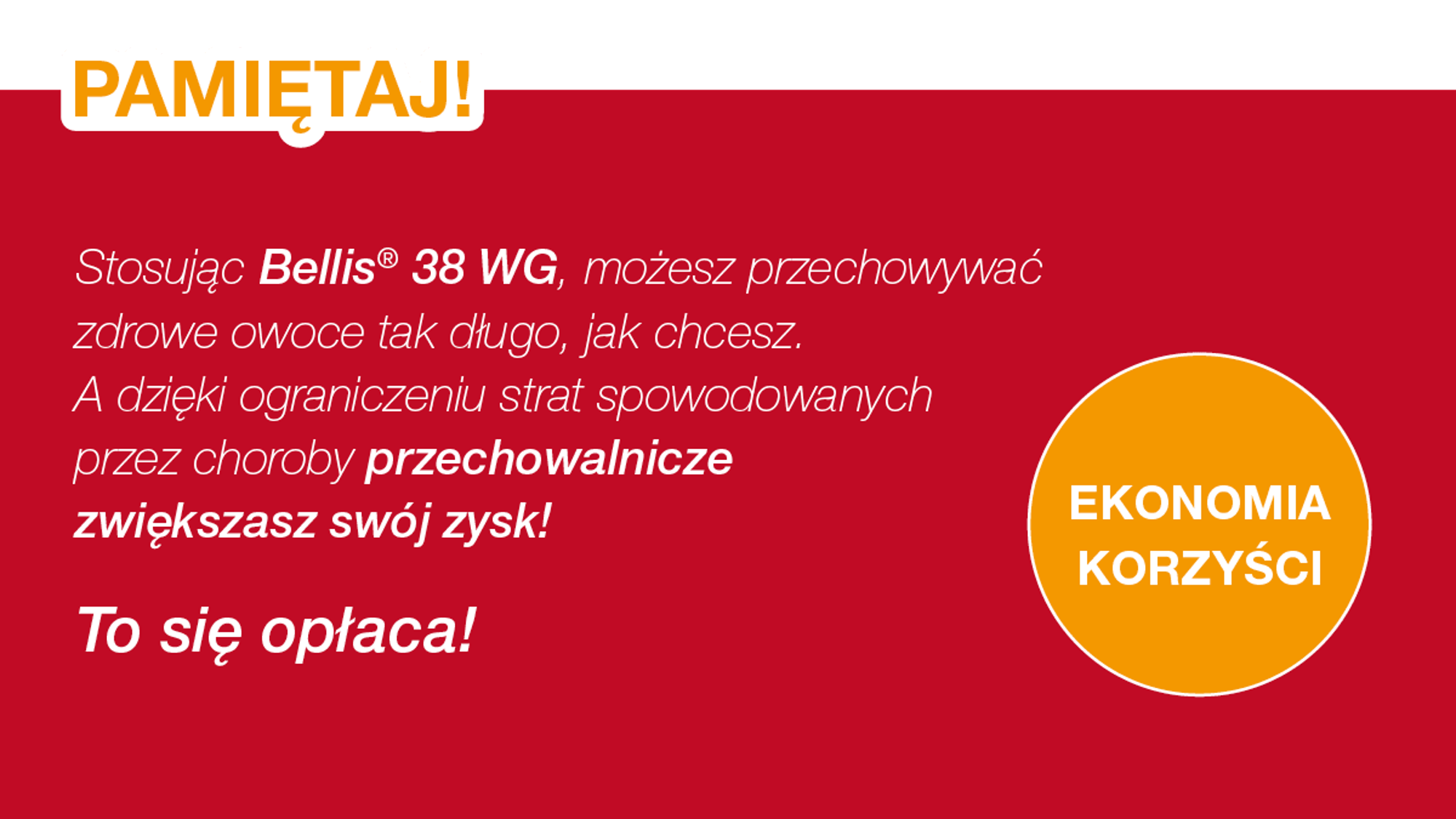 bellis 38 wg ekonomia korzyści