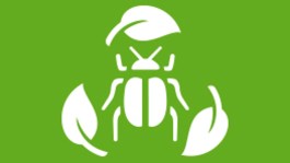 Bio-insektycydy