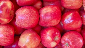 Rola fungicydów w przechowywaniu owoców