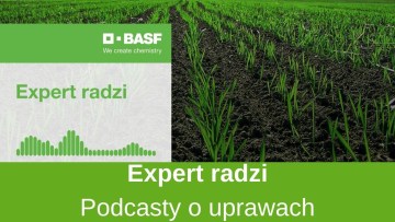 Ekspert radzi. Podcasty