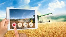 Systiva® 333 FS