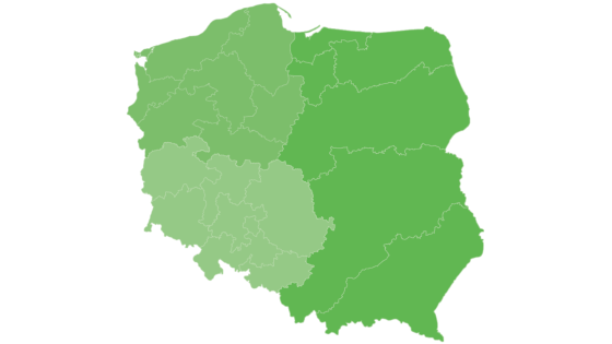 Przedstawiciele Regionalni