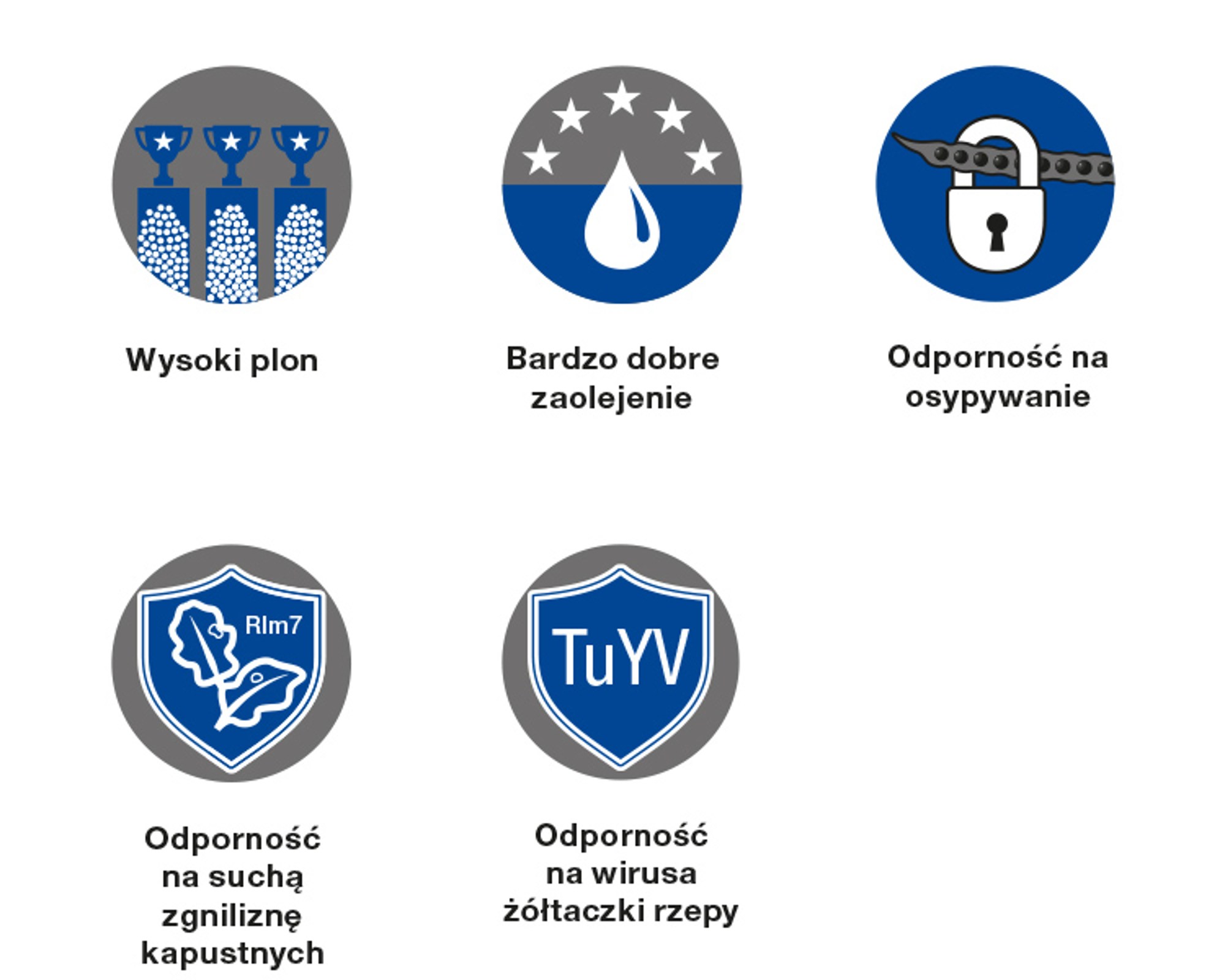 rzepak ozimy odporny na choroby