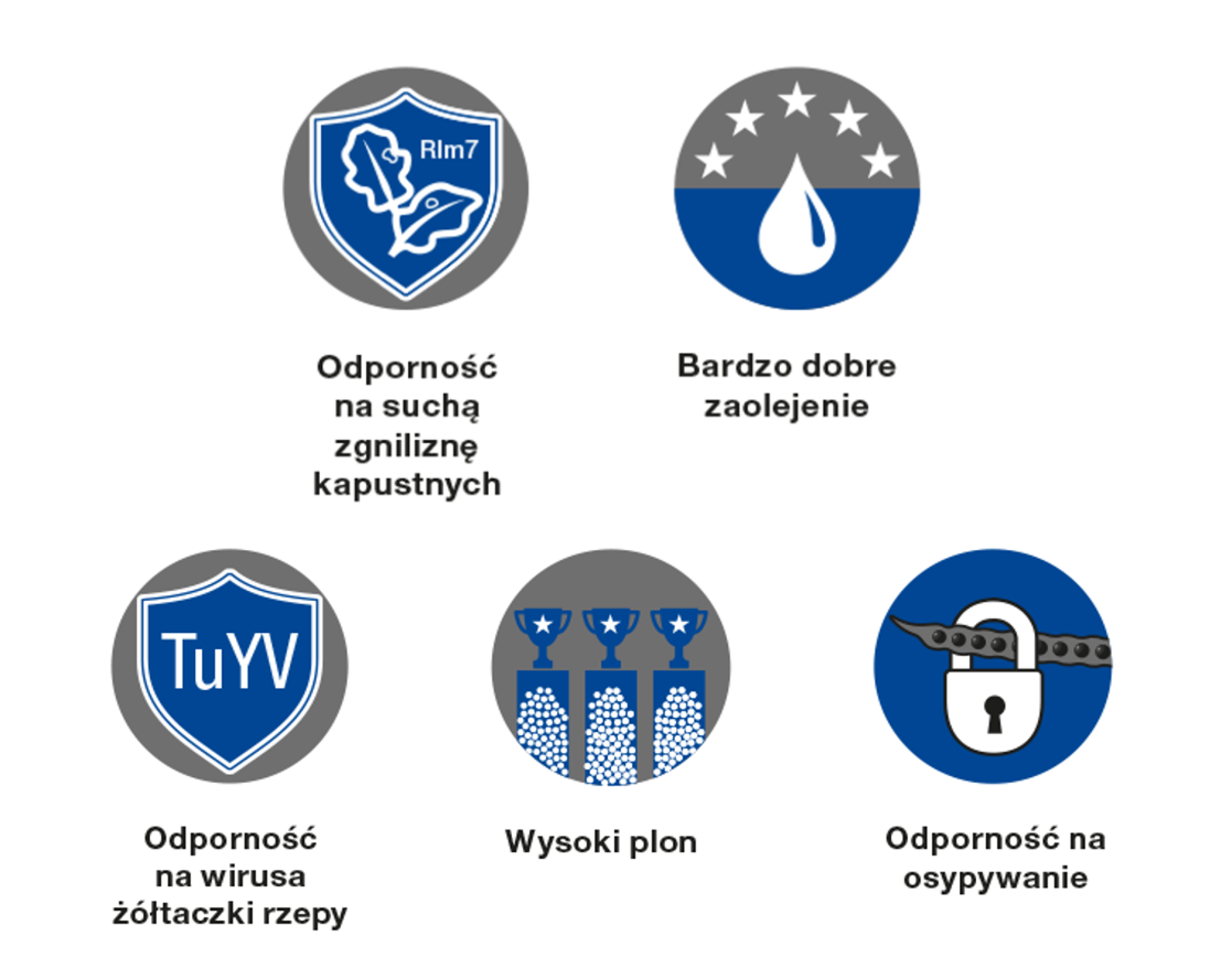 odmiany rzepaku odporne na choroby