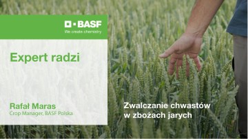Zwalczanie chwastów w zbożach jarych - podcast #12