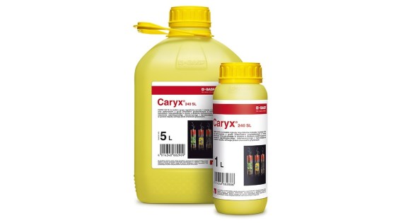 opakowanie od caryx