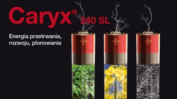 Markowy produkt czy tebukonazol?