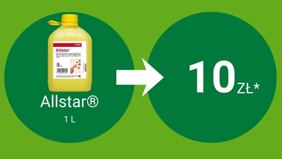 Allstar® 1L = 10 pkt BeneFito*