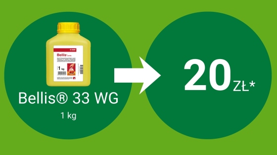 Bellis® 33 WG 1KG = 20 pkt BeneFito*