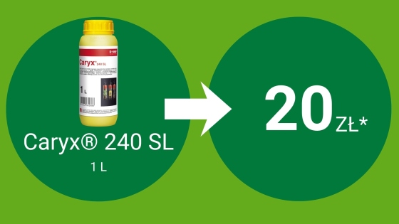 Caryx® 240 SL 1L = 20 pkt BeneFito*