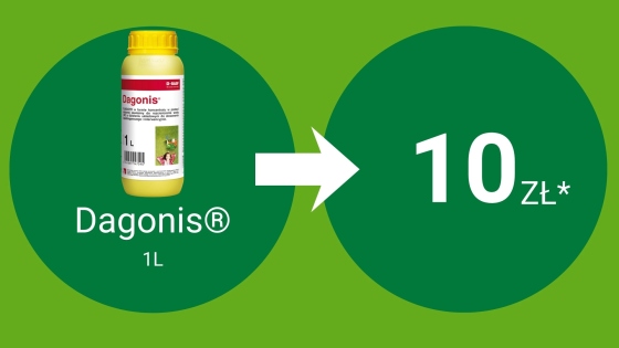 Dagonis® 1L = 10 pkt BeneFito*