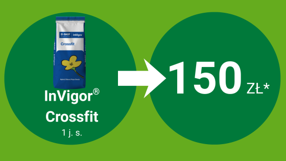 InVigor® Crossfit 1 j.s. = 150 pkt BeneFito*