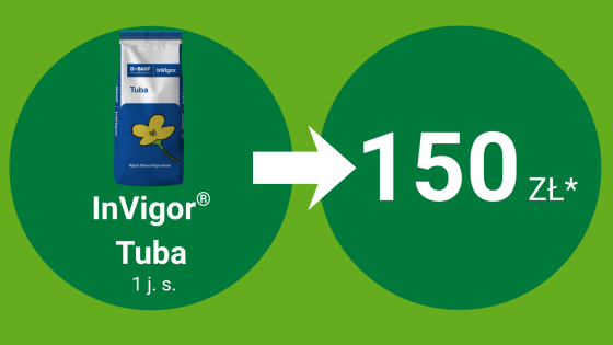 InVigor® Tuba 1 j.s. = 150 pkt BeneFito*