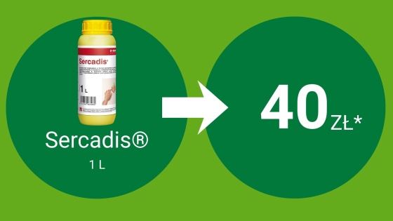 Sercadis® 1L = 40 pkt BeneFito*