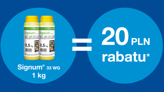 Signum® 33 WG 1KG = 20 pkt BeneFito*