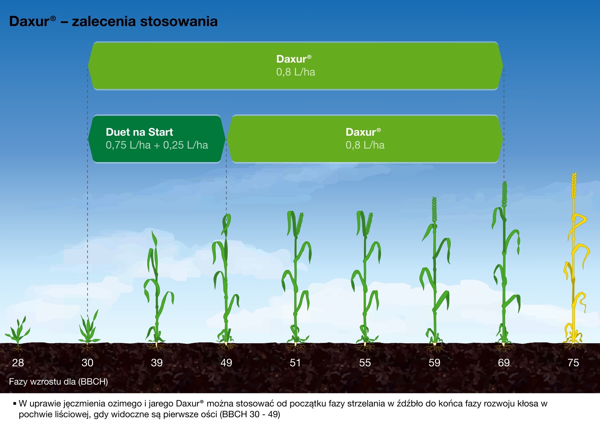 Daxur® - produkt polecany na plantacje prowadzone mniej intensywnie. Do ochrony w systemie 1- lub 2-zabiegowym. 