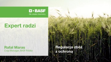 Regulacja zbóż z ochroną – podcast #6