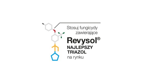 Najlepszy triazol na rynku