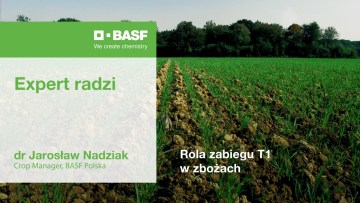 Rola zabiegu T1 w zbożach – podcast #2