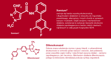 dagonis synergia dwóch substancji czynnych