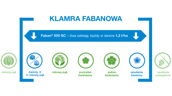 klamra fabanowa