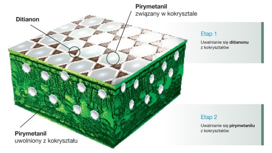 działanie kryształków pirymetanilu