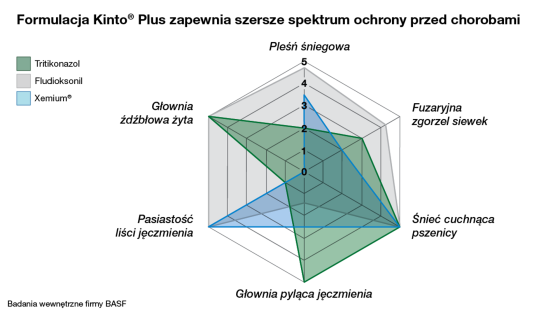 kinto plus działanie