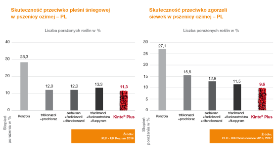 kinto plus skuteczność