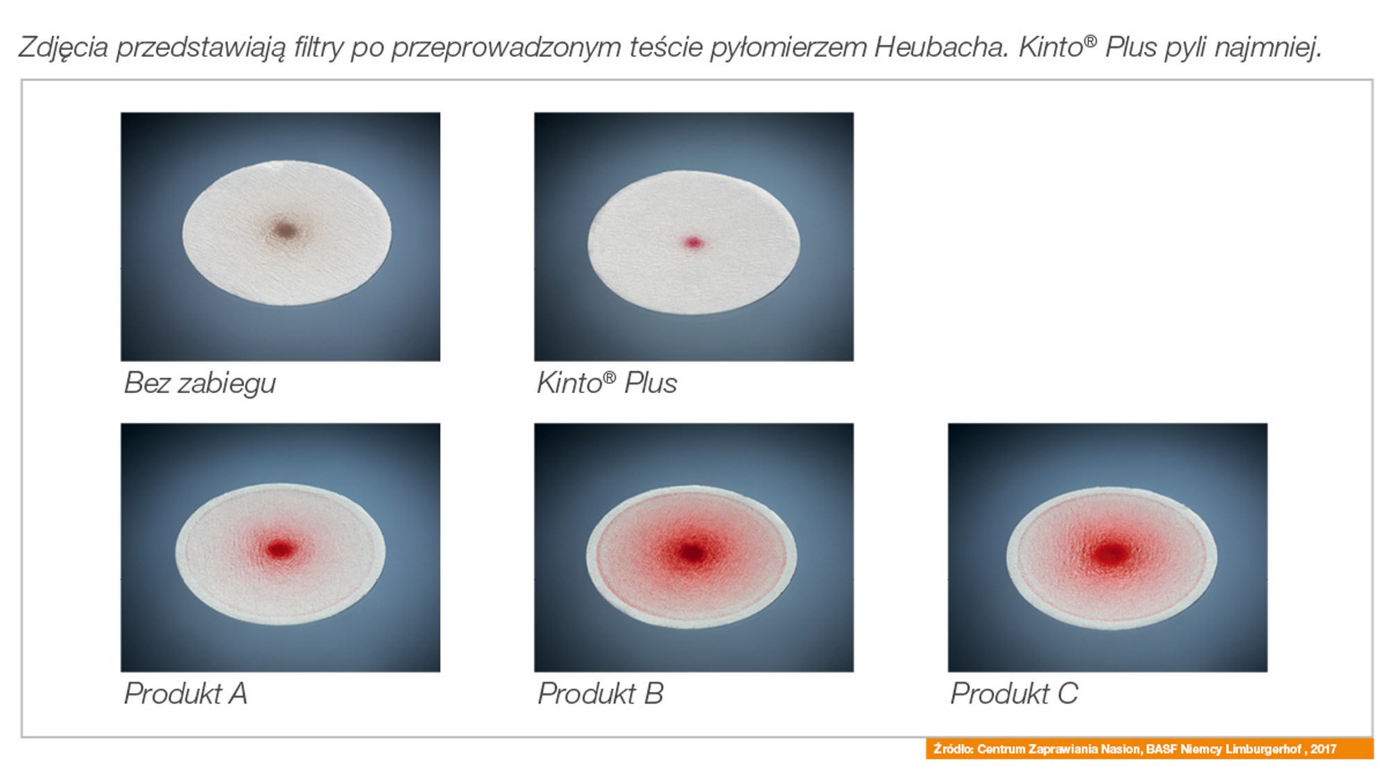 działanie kinto plus