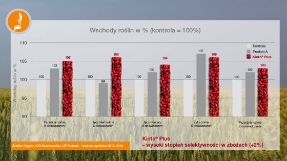 wchody roślin przy kinto