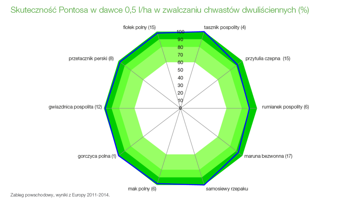 Pontos skutecznie i trwale zwalcza chwasty dwuliścienne