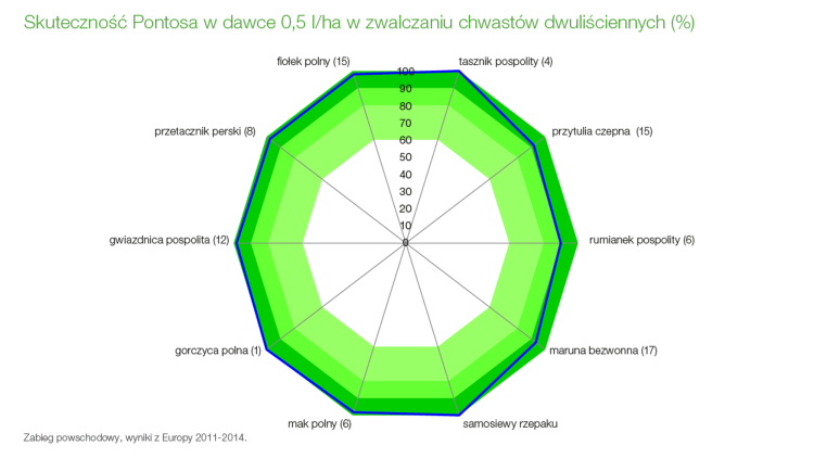 Pontos skutecznie i trwale zwalcza chwasty dwuliścienne