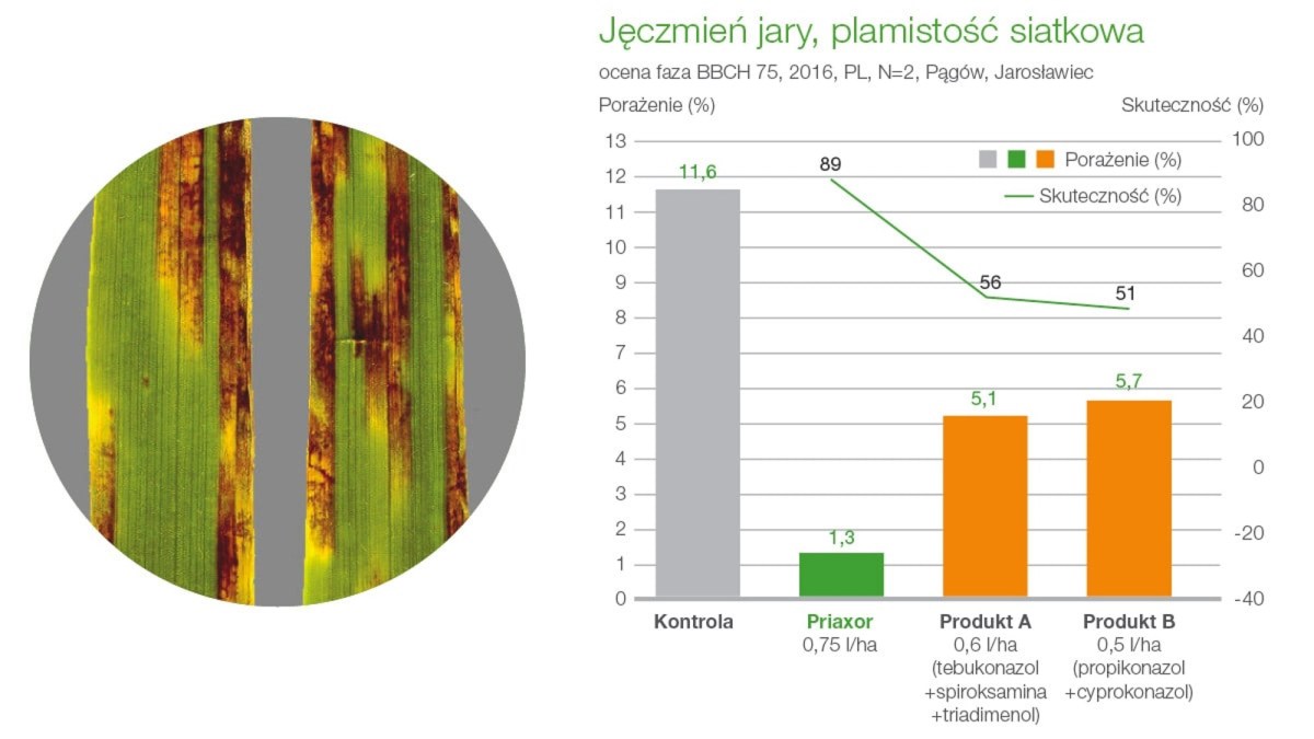 priaxor plamistość siatkowa jęczmienia jarego zwalczanie