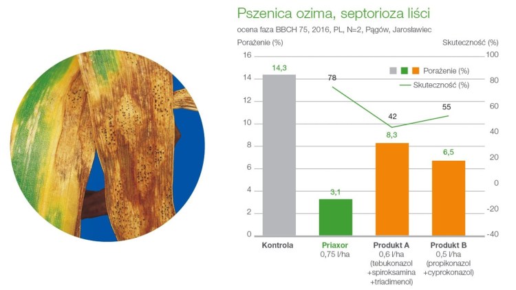 priaxor septorioza liści pszenicy ozimej zwalczanie