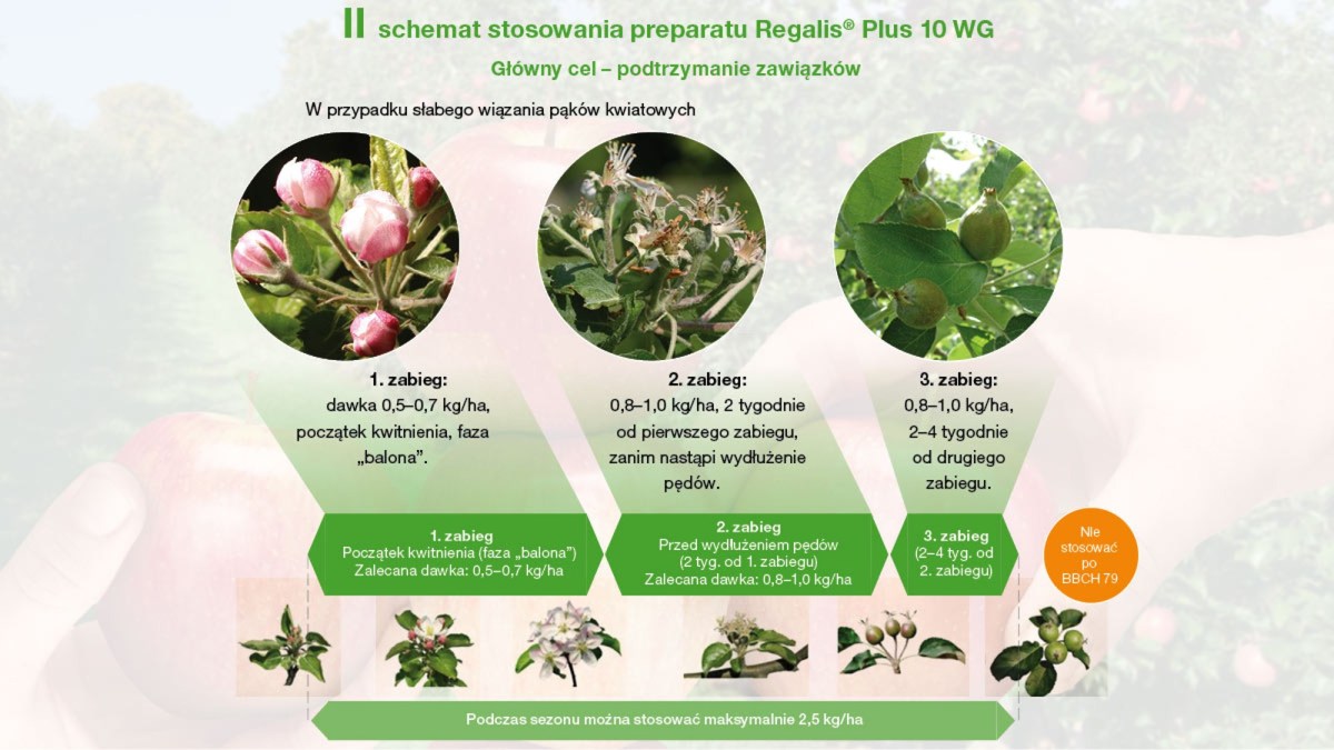 Stosowanie Regalis Plus 10 WG w podtrzymywaniu zawiązków