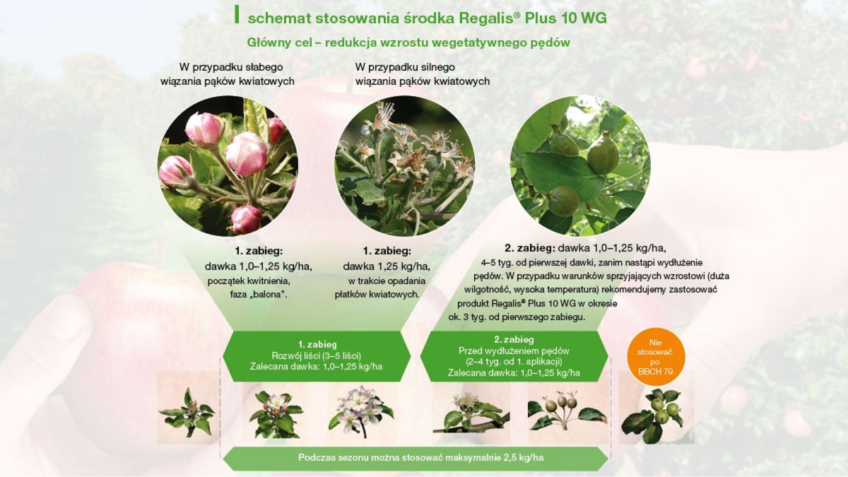 Stosowanie Regalis Plus 10 WG w redukcji wzrostu pędów