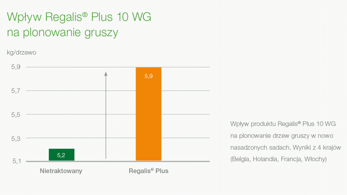 regalis plus wpływ na plonowanie gruszy