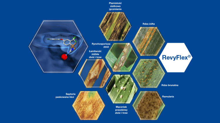 revyflex zwalczane patogeny
