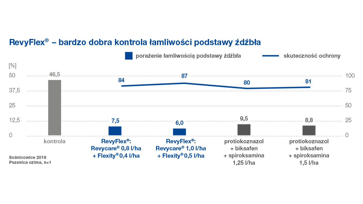 revysol zwalcza łamliwość podstawy źdźbła