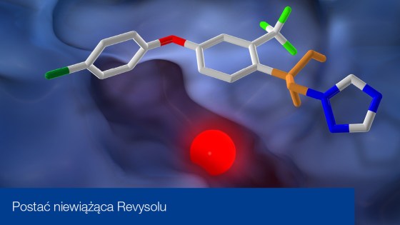 postać niewiążąca Revysolu